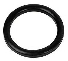 Seal Ring