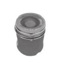 Piston With Rings
