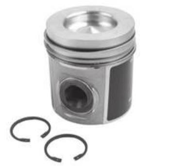 Piston With Rings