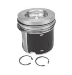 Piston With Rings