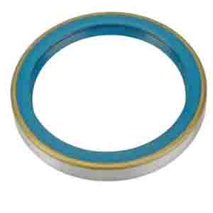 Oil Seal 125,0 X 160,0 X 17,0 Mm