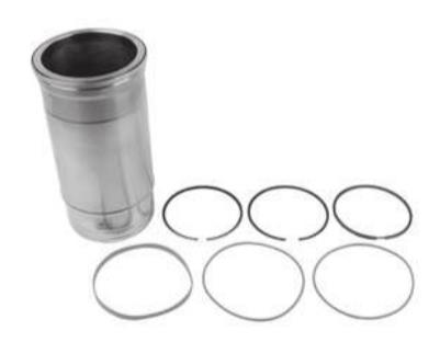 Cylinder Liner With Piston Rings