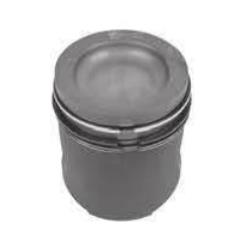 Piston With Rings