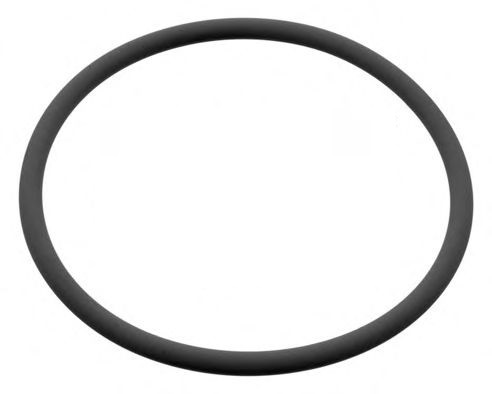 O-ring 99,1 X 5,7 Mm