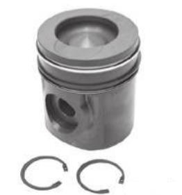 Piston With Rings