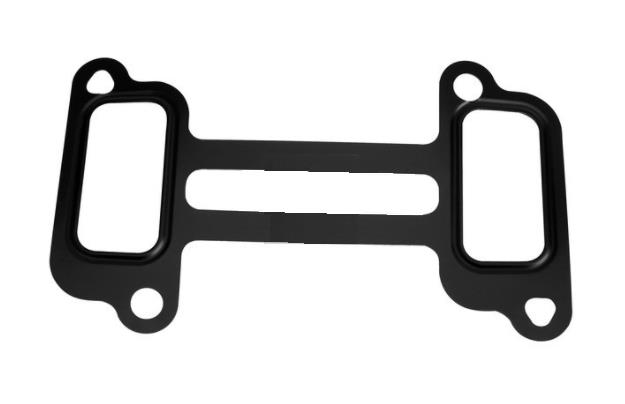 Intake Manifold Gasket