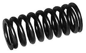 Valve Spring, İntake