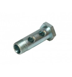 Hollow Screw