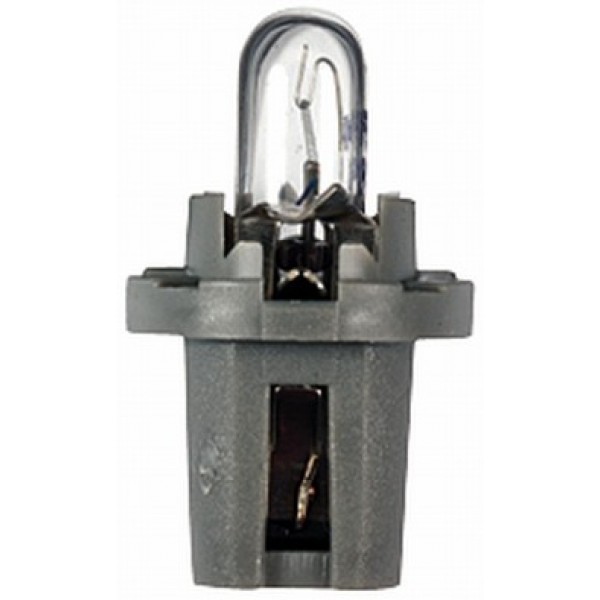 Socket Bulb 24v 1,2w Bax 10d/b 8,5d Grey