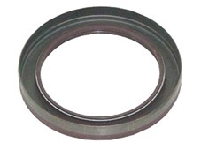 Valve Seat Ring, İntake